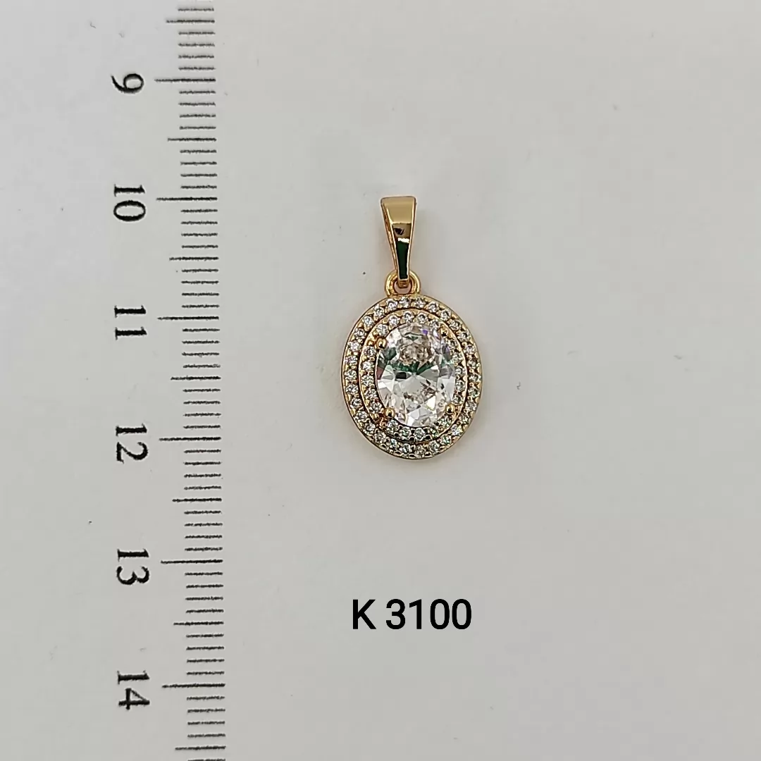 K 3100
